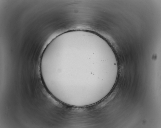 X0000100381374200807031915