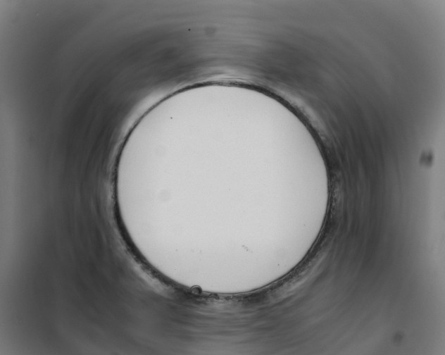 X0000100381375200807031915