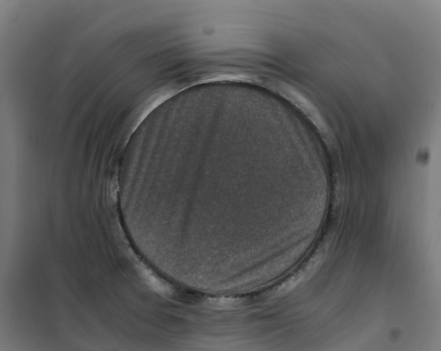 X0000100381377200807031915