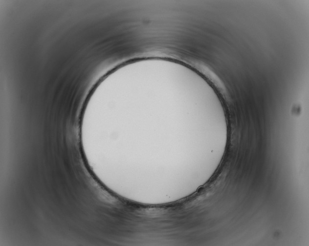 X0000100381380200807031915