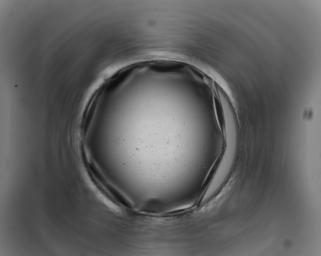 X0000100381381200807031915