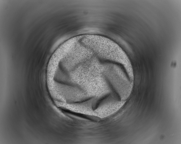 X0000100381382200807031915
