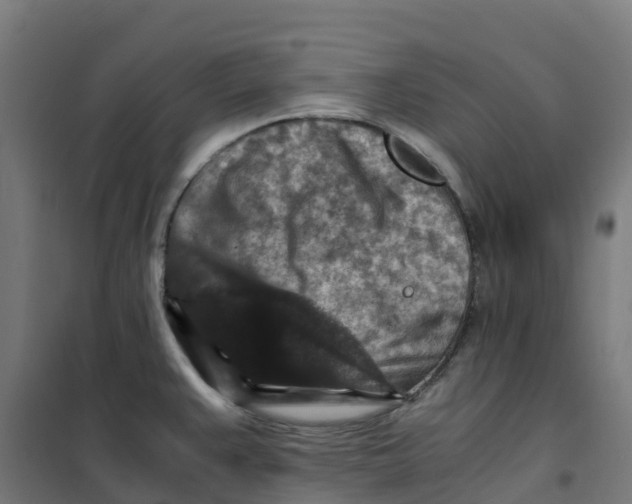 X0000100381383200807031915
