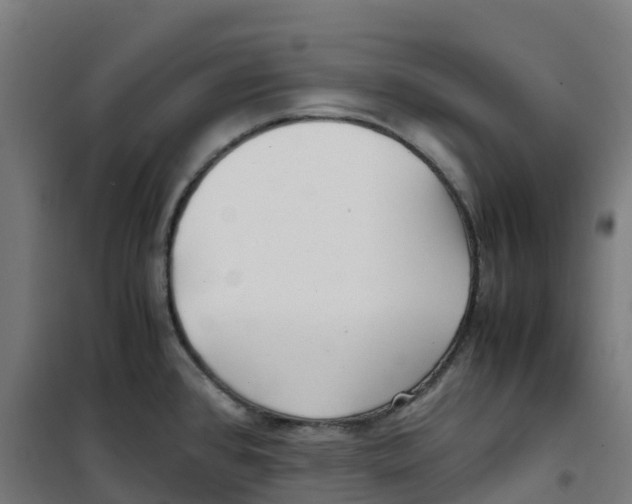 X0000100381384200807031915