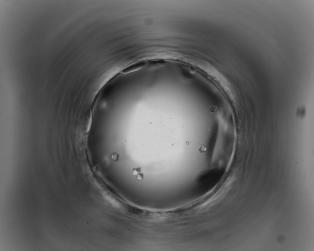 X0000100381385200807031915