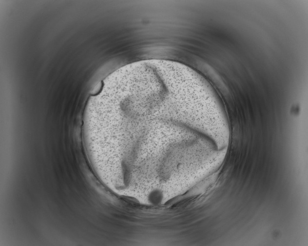 X0000100381386200807031915