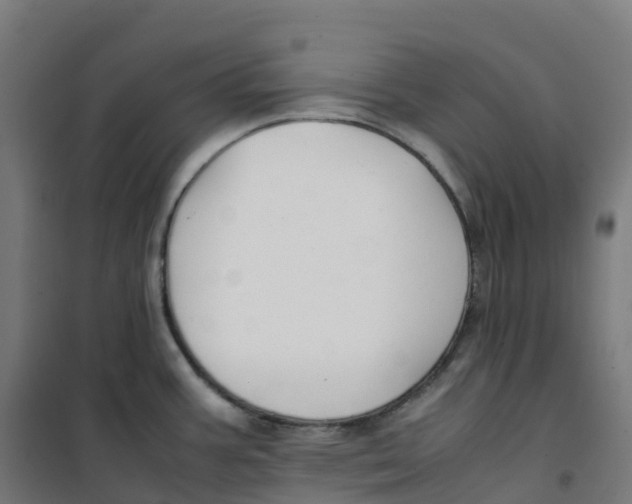 X0000100381387200807031915