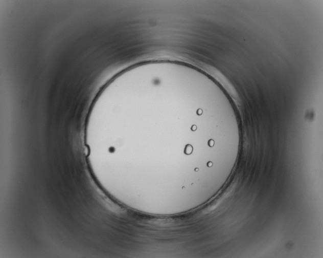 X0000100381388200807031915