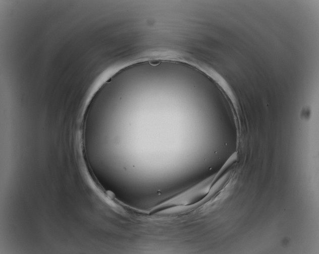 X0000100381389200807031915