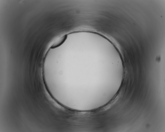 X0000100381390200807031915
