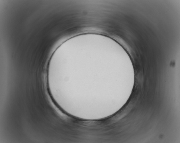 X0000100381391200807031915
