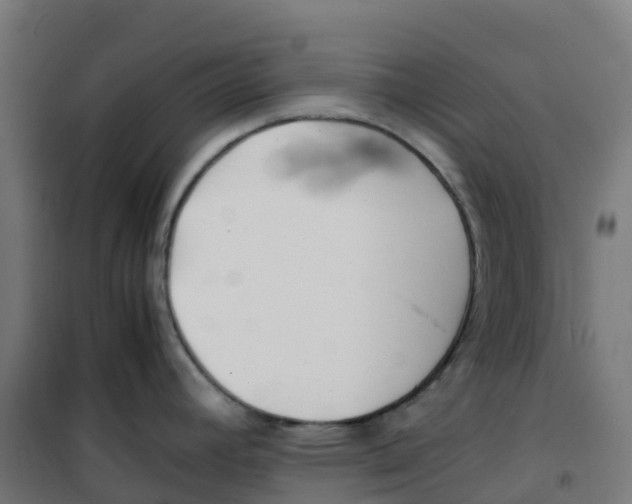 X0000100381392200807031915
