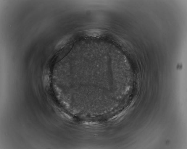 X0000100381394200807031914