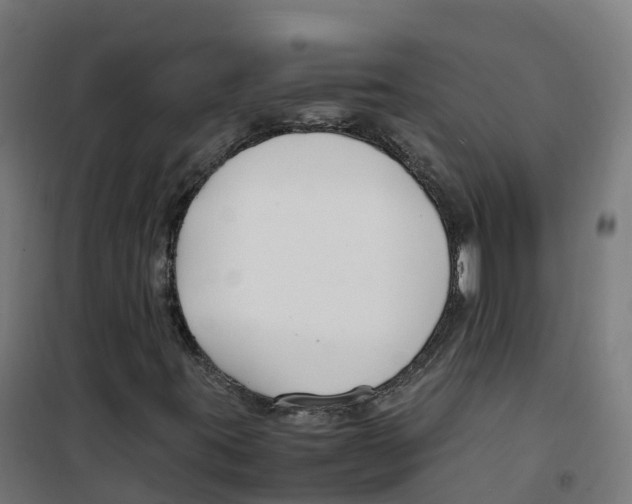 X0000100381395200807031914