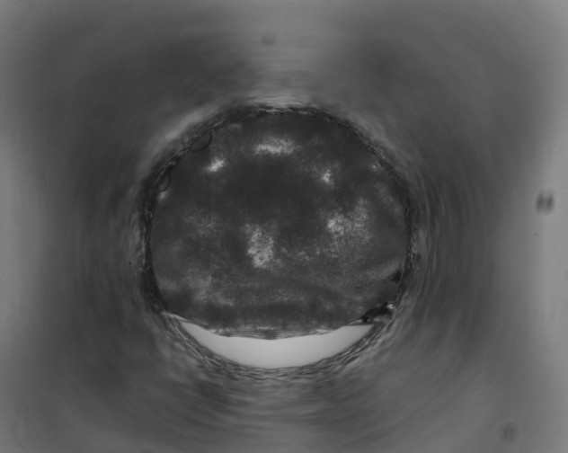 X0000100381398200807031914
