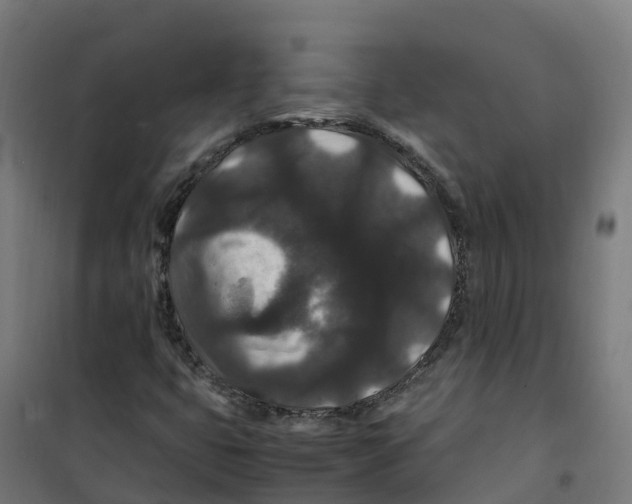 X0000100381399200807031914