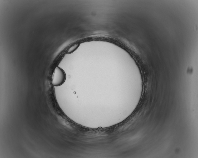 X0000100381400200807031914