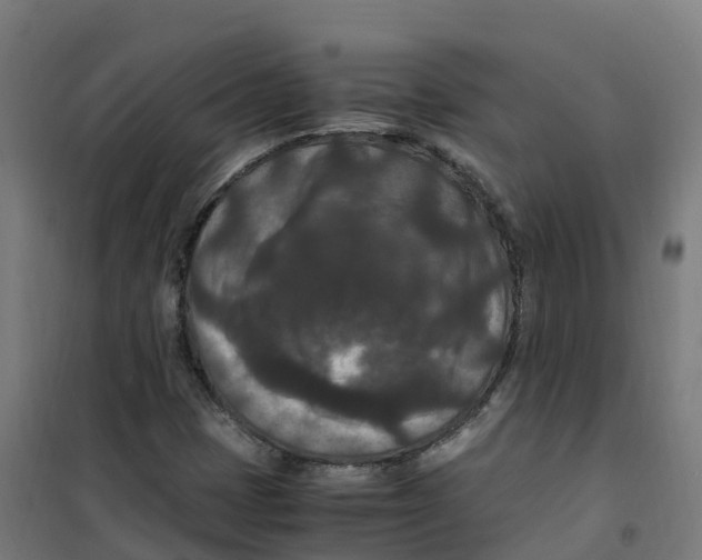 X0000100381401200807031914