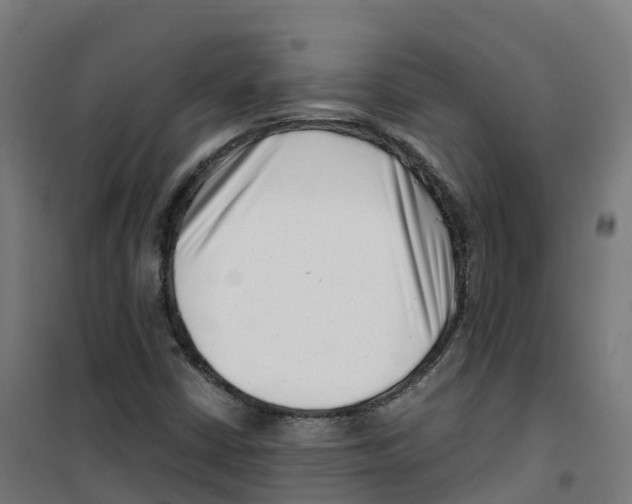 X0000100381402200807031914