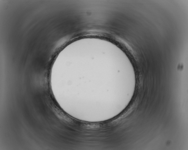 X0000100381403200807031914