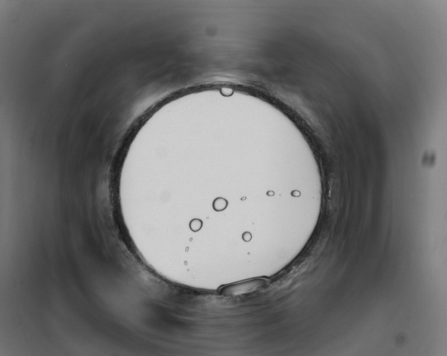 X0000100381404200807031914