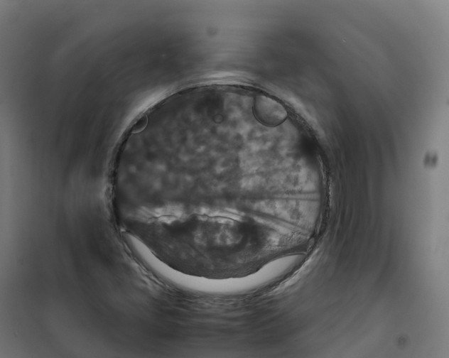 X0000100381405200807031914