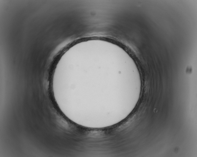 X0000100381406200807031914