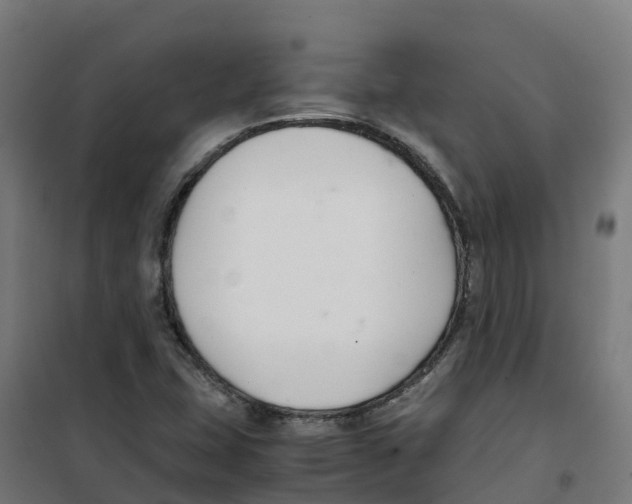 X0000100381407200807031914