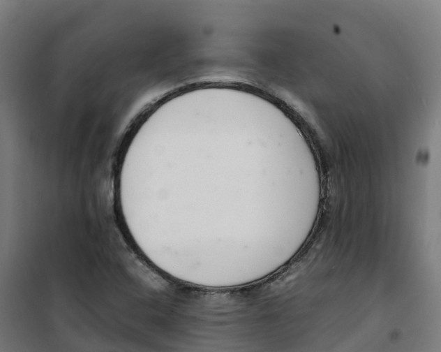 X0000100381408200807031914