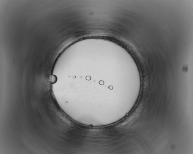X0000100381409200807031914