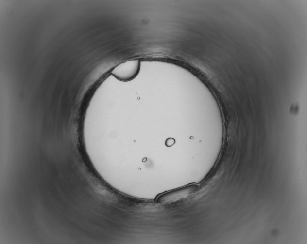 X0000100381410200807031914