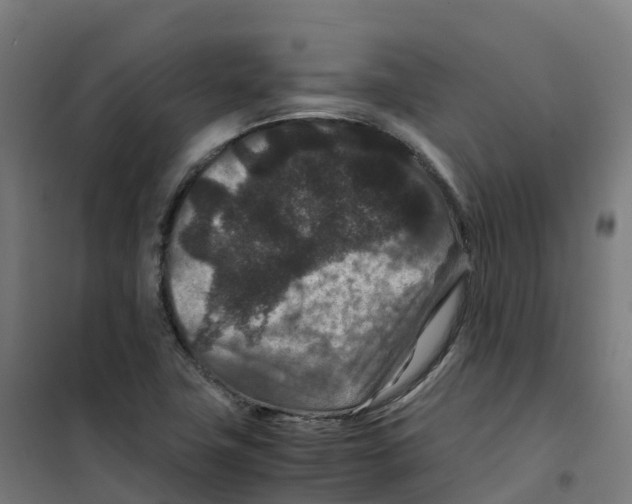 X0000100381411200807031914