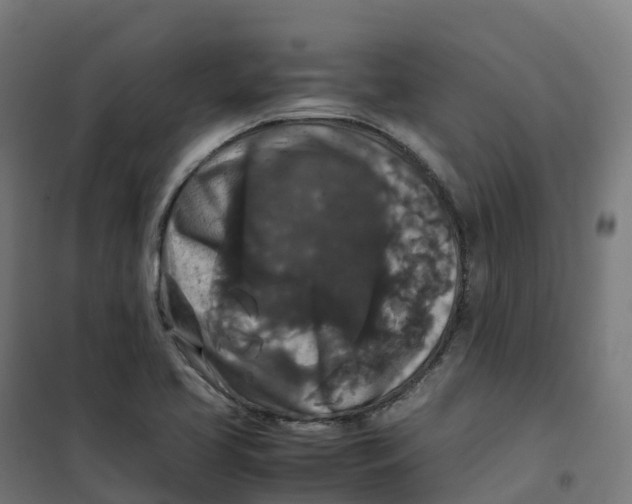 X0000100381413200807031914