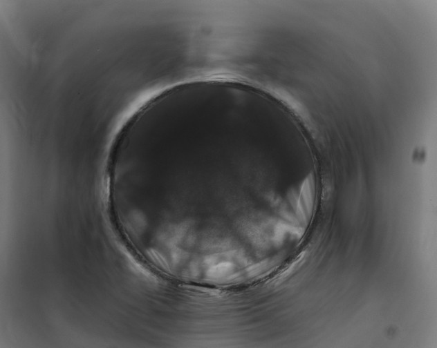 X0000100381414200807031914