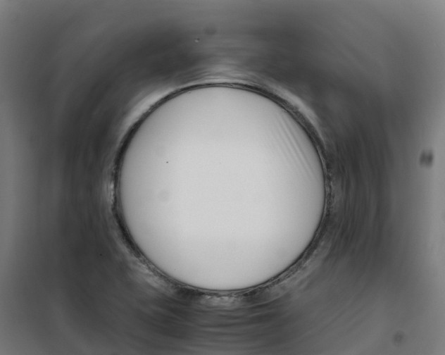 X0000100381415200807031914