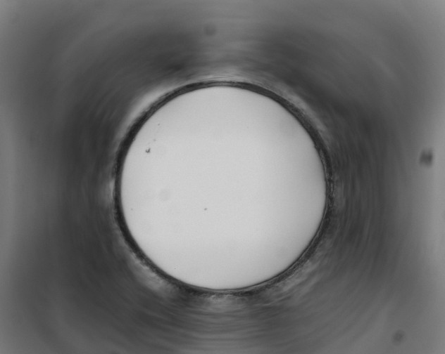 X0000100381416200807031914