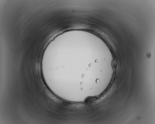 X0000100381417200807031915