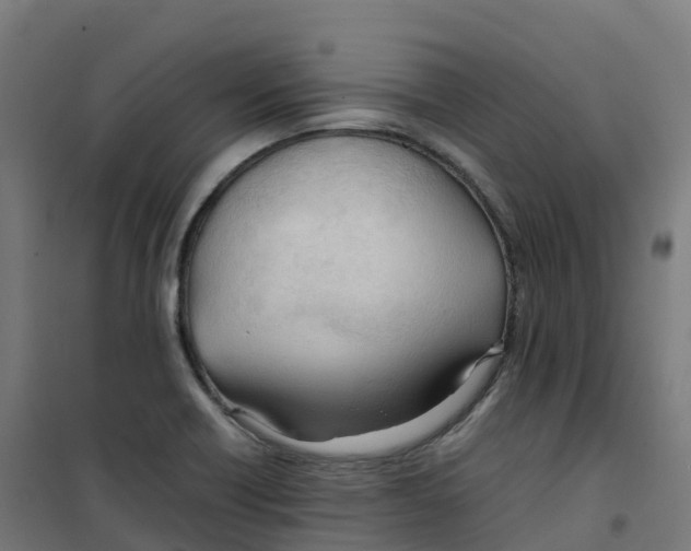 X0000100381418200807031915