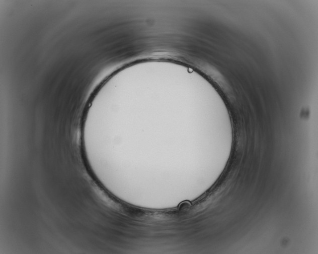 X0000100381420200807031915