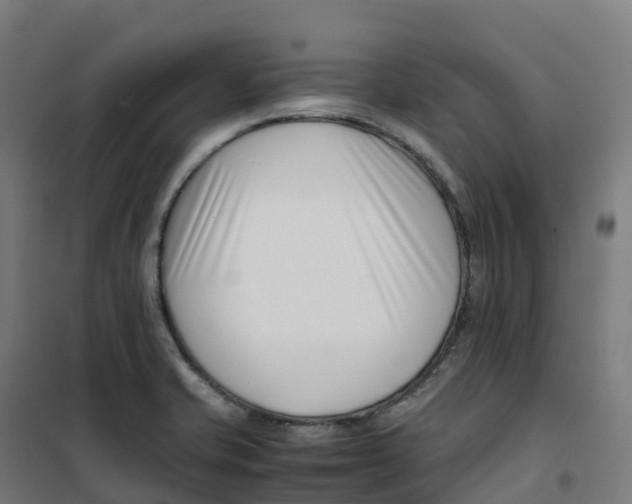 X0000100381421200807031915