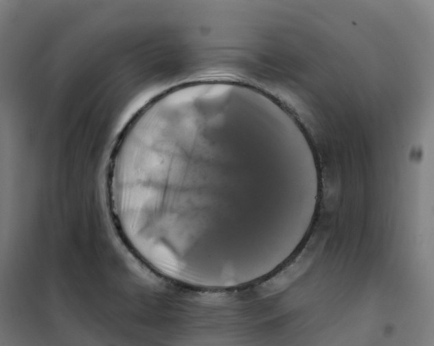 X0000100381422200807031915