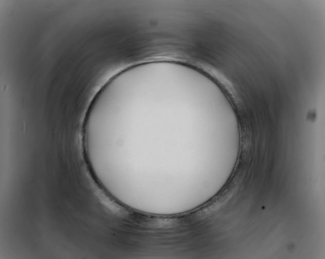 X0000100381423200807031915