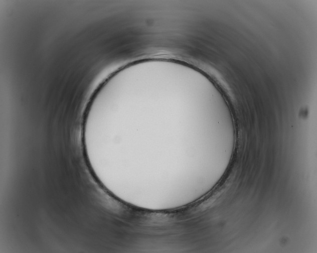 X0000100381424200807031915