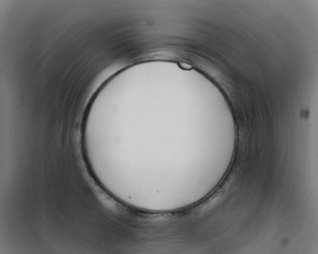 X0000100381426200807031915