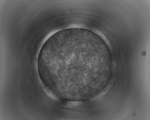 X0000100381427200807031915