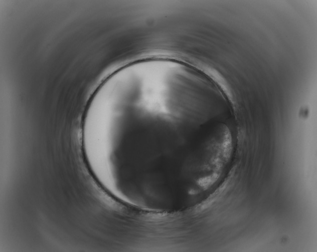 X0000100381428200807031915