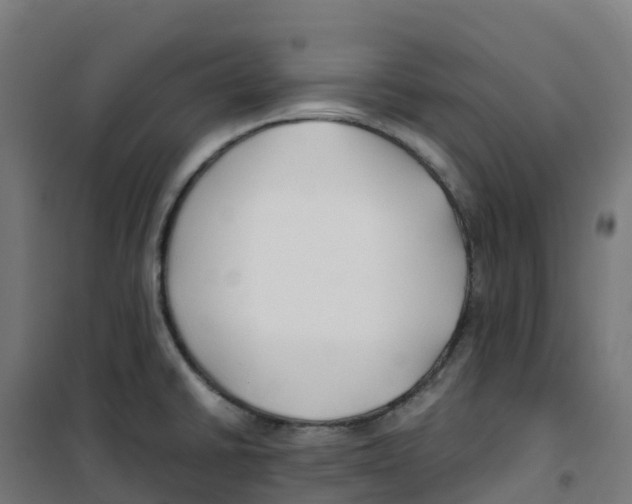 X0000100381430200807031915
