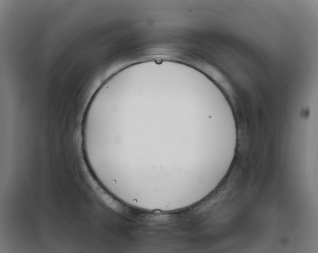 X0000100381431200807031915