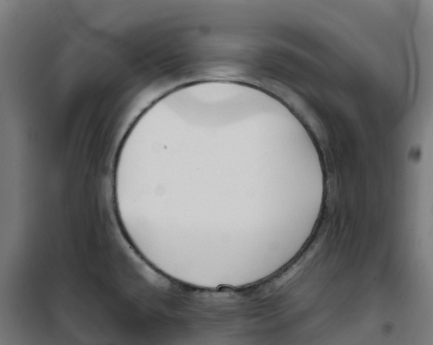 X0000100381432200807031915