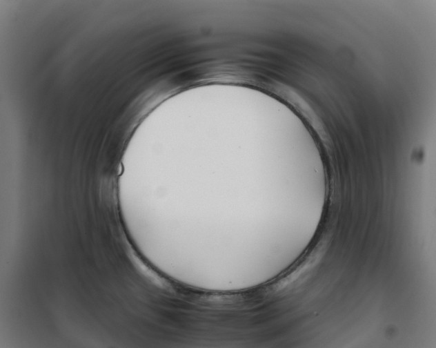 X0000100381433200807031915